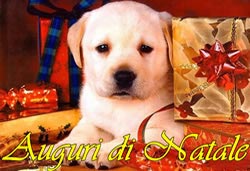 Tanti auguri di Natale